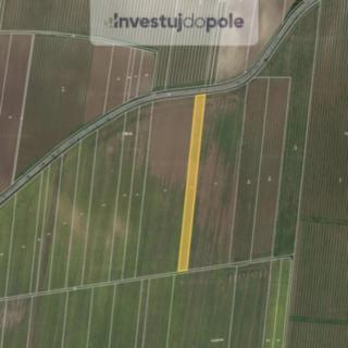 Prodej zemědělské půdy 4997 m² Strachotín
