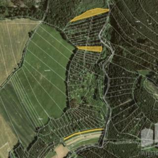 Prodej lesa 4 290 m² Letovice Slatinka