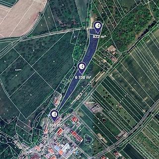 Prodej lesa 3 969 m² Veselíčko