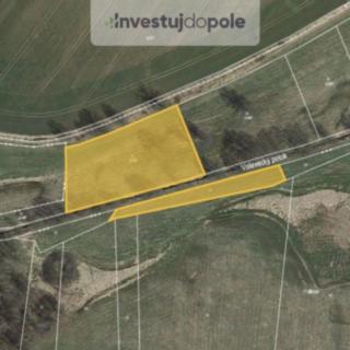 Prodej louky 3 966 m² Pravonín Volavka