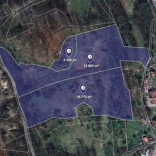 Prodej louky 28595 m&sup2; Nový Bor