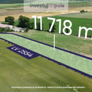 Prodej ostatního pozemku 11 718 m² Šardice
