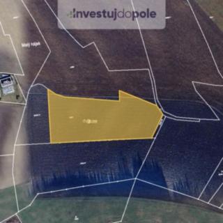 Prodej zemědělské půdy 7379 m² Žamberk