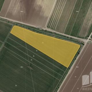 Prodej zemědělské půdy 14628 m² Popice