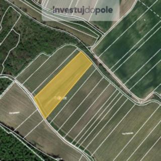 Prodej ostatního pozemku 1 767 m² Dolní Věstonice