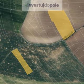 Prodej zemědělské půdy 2412 m² Zaječice