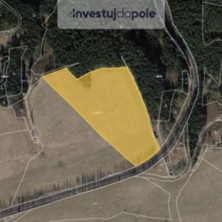 Prodej zemědělské půdy 37178 m² Toužim