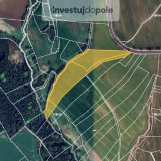 Prodej zemědělské půdy 23 701 m² Bílá Petrašovice