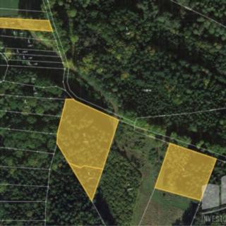 Prodej lesa 3 417 m² Ledenice Zaliny