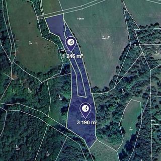 Prodej lesa 4 436 m² Vysoká