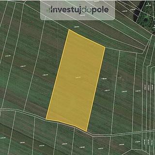 Prodej zemědělské půdy 3 029 m² Bzenec