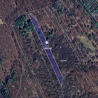 Prodej lesa 1 976 m² Rudice