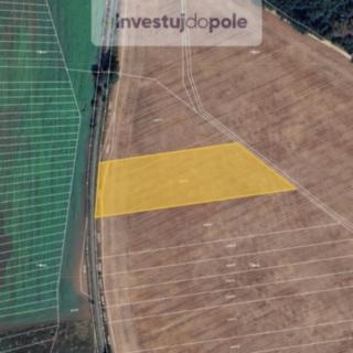 Prodej zemědělské půdy 4 114 m² Svatobořice-Mistřín Svatobořice