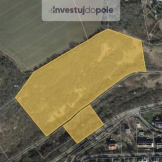Prodej louky 27 083 m² Nižbor Stradonice
