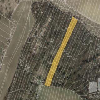 Prodej lesa 3 433 m² Bučovice Vícemilice