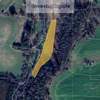 Prodej louky 3 388 m² Divišov Dalovy