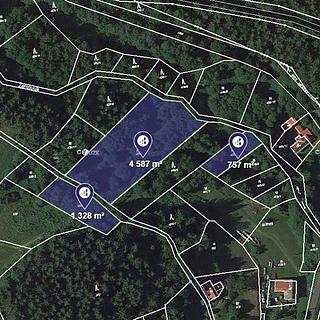 Prodej lesa 3 406 m² Pěnčín