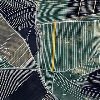 Prodej zemědělské půdy 3 992 m² Boleradice