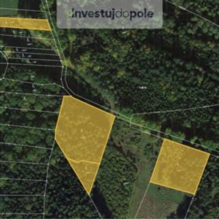 Prodej podílu lesa 3417 m² Ledenice