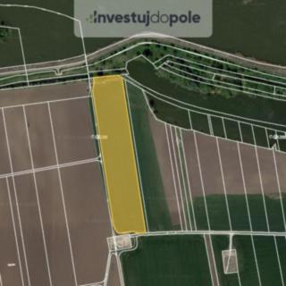 Prodej zemědělské půdy 3 751 m² Dolní Věstonice