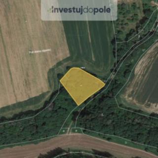 Prodej ostatních pozemků 3634 m² Lobeč