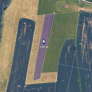 Prodej zemědělské půdy 1 309 m² Lišov