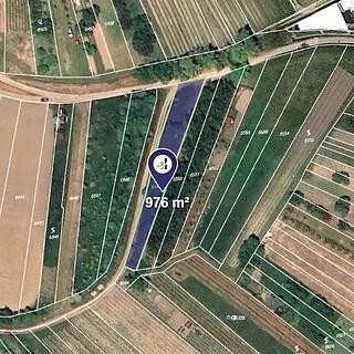 Prodej zemědělské půdy 976 m² Kobylí
