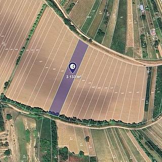 Prodej zemědělské půdy 915 m² Kobylí