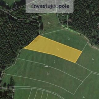 Prodej louky 2 528 m² Dlažov
