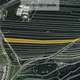 Prodej lesa 10 470 m² Lužná