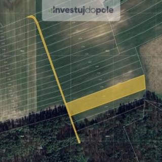 Prodej zemědělské půdy 2 901 m² Přelouč Klenovka