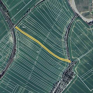 Prodej zemědělské půdy 57876 m² Mutěnice