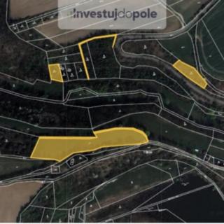 Prodej zemědělské půdy 11 051 m² Bojanovice Malá Lečice