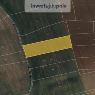 Prodej zemědělské půdy 2 910 m² Dobříč