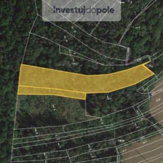 Prodej lesa 5 764 m² Ptenín