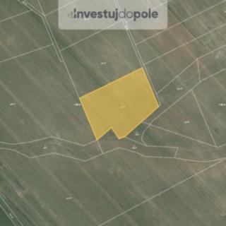 Prodej zemědělské půdy 6 143 m² Běstvina Rostejn