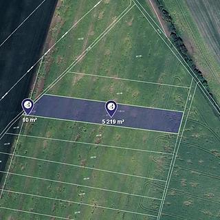 Prodej zemědělské půdy 5 229 m² Koštice