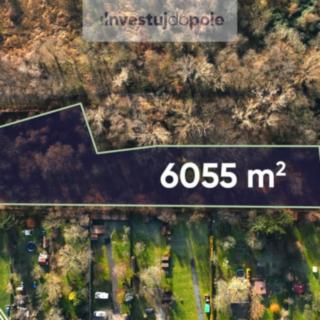 Prodej zahrady 6055 m² Praha