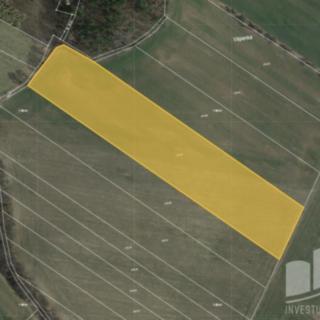 Prodej zemědělské půdy 19 436 m² Neustupov Královna