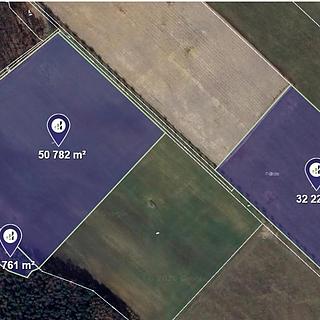 Prodej zemědělské půdy 18 996 m² Bynovec