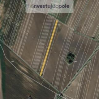 Prodej zemědělské půdy 2 446 m² Kostice
