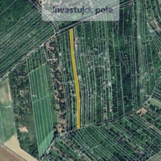 Prodej zemědělské půdy 2 546 m² Židlochovice, Masarykova