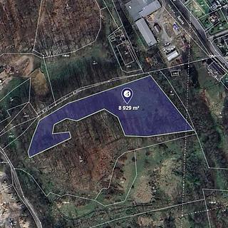 Prodej louky 7441 m&sup2; Nový Bor