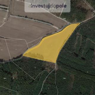 Prodej zemědělské půdy 34 657 m² Štětí Stračí