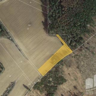 Prodej louky 3 856 m² Pravonín Lesáky