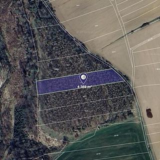 Prodej zemědělské půdy, 4369m&sup2;