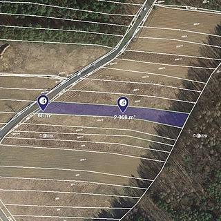 Prodej zemědělské půdy 3 035 m² Lužná