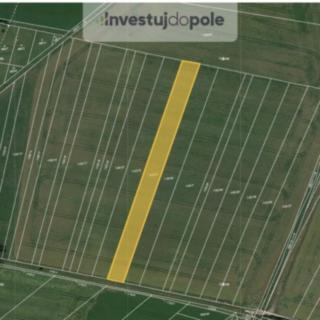 Prodej zemědělské půdy 2935 m² Jasenná