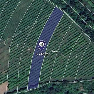 Prodej zemědělské půdy 3 745 m² Horní Loučky