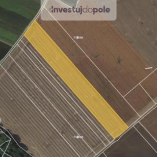 Prodej zemědělské půdy 5418 m² Kopidlno